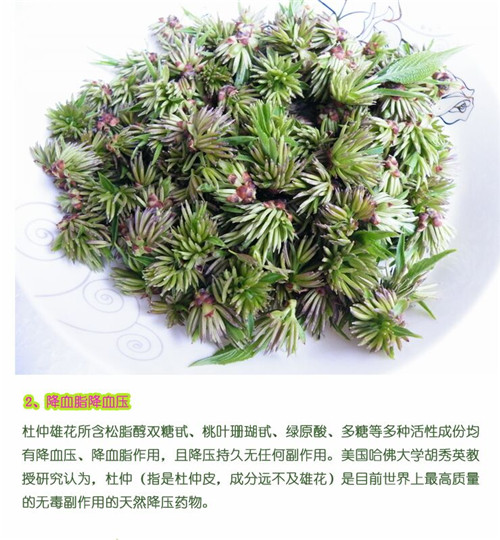 杜仲雄花茶