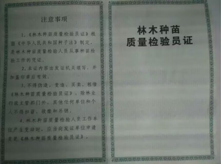 荣誉证书